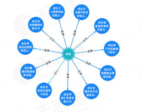 外賣小哥身陷網(wǎng)絡(luò)信息技術(shù)漩渦 莫名任11家公司監(jiān)事，癱瘓母親低保被取消